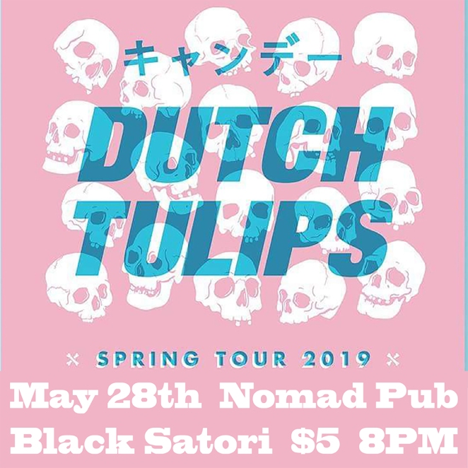 Dutch Tulips Tour 2019